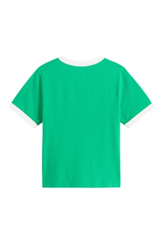 Camiseta - Verde claro