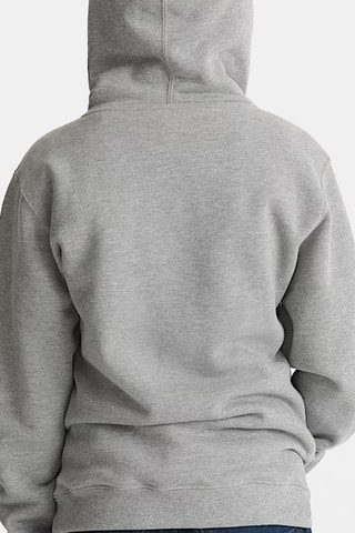 Sudadera con capucha - Gris claro