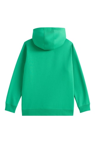 Sudadera con capucha - Verde claro