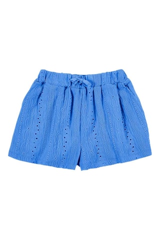 Short Carnet de Voyage - Blauw