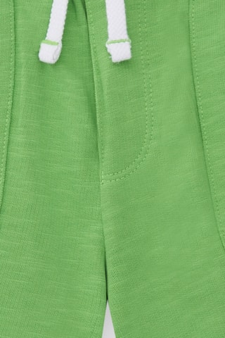 Short Savage Spirit - Vert