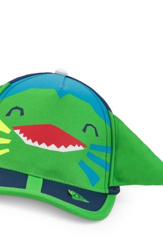 Pet Color The Sea - Groen