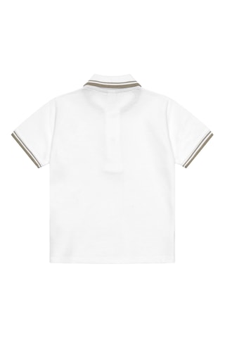 Polo Abstract - Wit