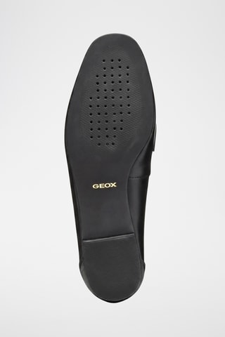 Mocassins en cuir Llizia - Marron foncé