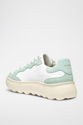 Baskets en cuir Spherica - Blanc et vert