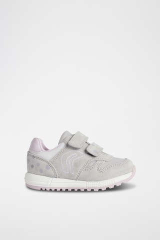 Baskets en nubuck Alben - Gris