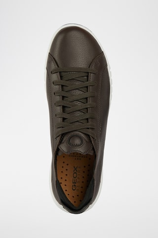 Baskets en cuir Aerantis - Marron