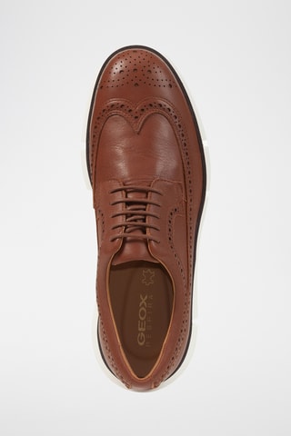 Derbys en cuir Adacter - Marron
