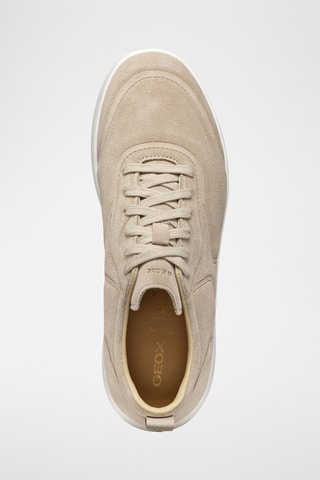 Baskets en cuir de veau nubuck Xtors - Beige