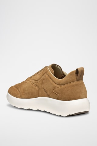 Baskets en cuir de veau nubuck Xtors - Marron