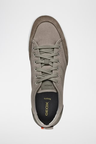 Baskets Walee - Taupe