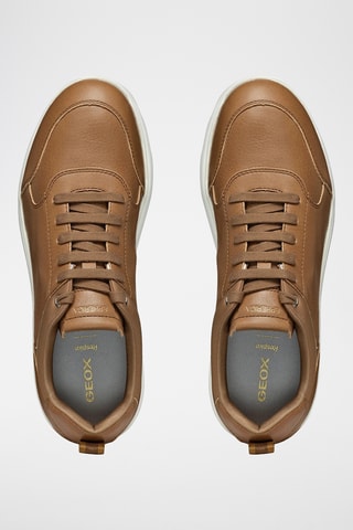 Baskets en cuir Spherica - Marron