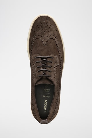 Derbys en cuir de veau Spherica - Marron
