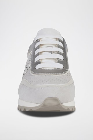 Baskets en nubuck Tabelya Gris