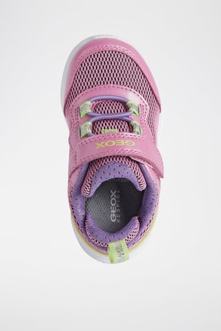 Baskets Sprintye Fuchsia et vert