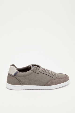 Tennis Walee Gris