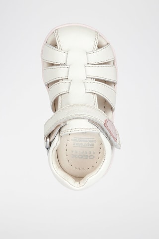 Sandales en cuir nappa Macchia - Blanc