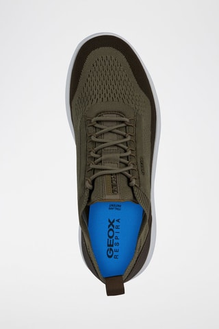 Baskets Spherica - Vert