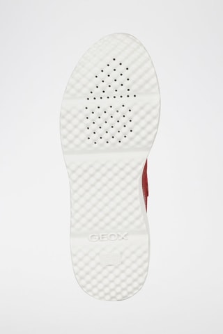 Baskets en cuir Diodiana - Rouge