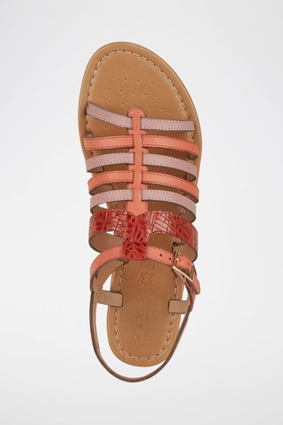 Spartiates en cuir Sozy - Rose
