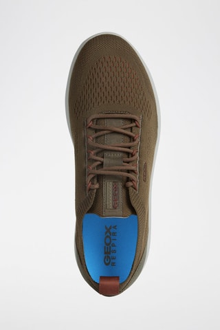 Baskets Spherica - Vert