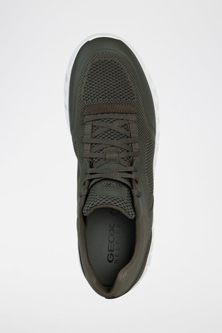 Baskets en cuir Outstream - Vert