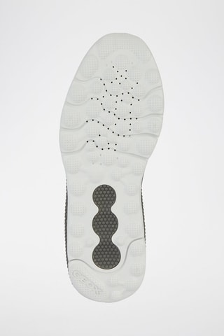 Baskets Geox Respira - Gris