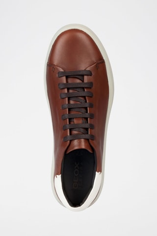 Baskets en cuir Velletri - Camel