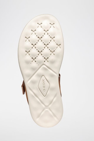 Nubuck Sandalen met Hak Xan2S - Bruin