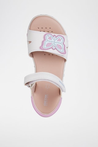 Sandalen  Haiti  - Wit