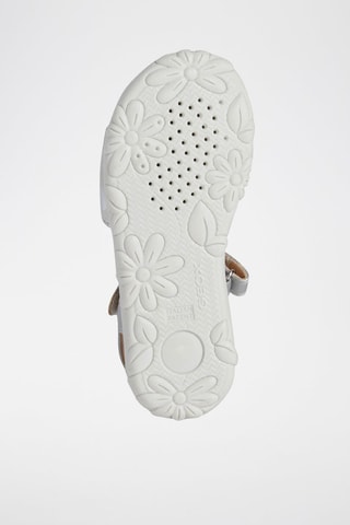Sandalen Haiti - Zilverkleurig
