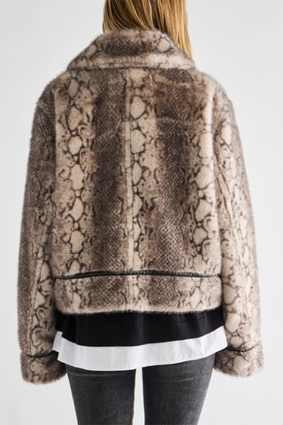 Veste - Gris