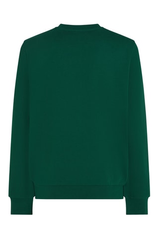 Sweat - Vert