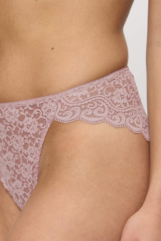 Slip a vita alta Amourette - Malva