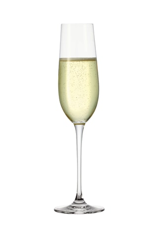 6 copas de champán - 23,5 cl