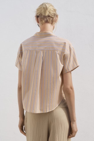 Chemise rayures manches courtes - Marron