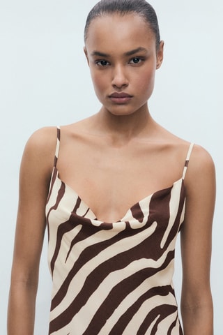 Robe avec col bénitier zèbre - Marron