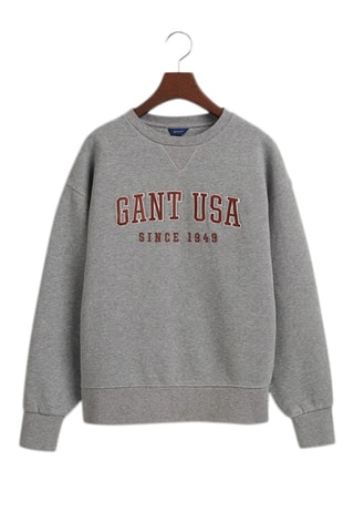 Sudadera - Gris