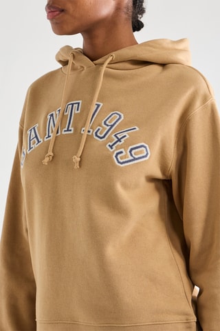 Sudadera con capucha - Camel