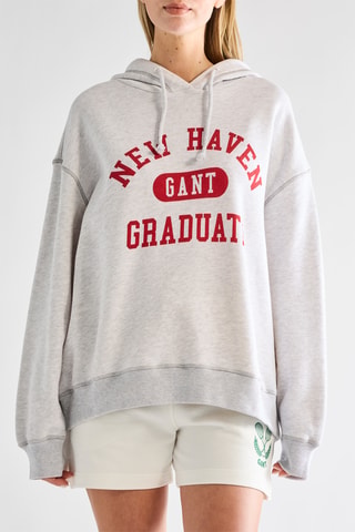 Sudadera con capucha - Gris