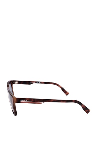 Lunettes de soleil homme - Catégorie 3 - Lacoste - Marron