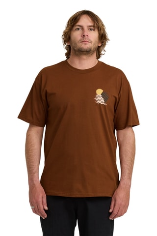 Biologisch Katoenen T-shirt Regular Canyons - Bruin - Billabong