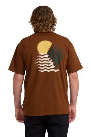 Biologisch Katoenen T-shirt Regular Canyons - Bruin - Billabong