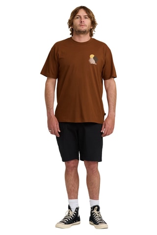 Biologisch Katoenen T-shirt Regular Canyons - Bruin - Billabong