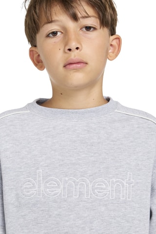 Felpa Cornell 90s - Grigio melange - Element