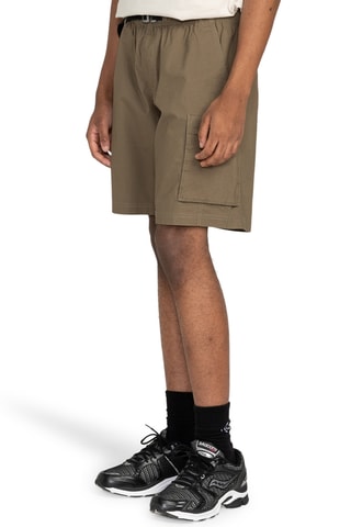 Biologisch Katoenen Cargoshort Mainline - Bruin - Element