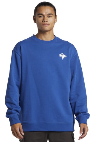 Sweater DNA Thorn Logo- Koningsblauw Quicksilver