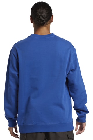 Sweater DNA Thorn Logo- Koningsblauw Quicksilver