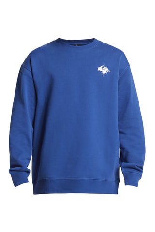 Sweater DNA Thorn Logo- Koningsblauw Quicksilver