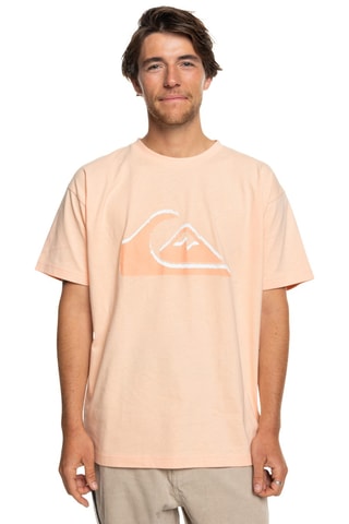 Biologisch Katoenen T-shirt Vintage Logo - Roze - Quiksilver